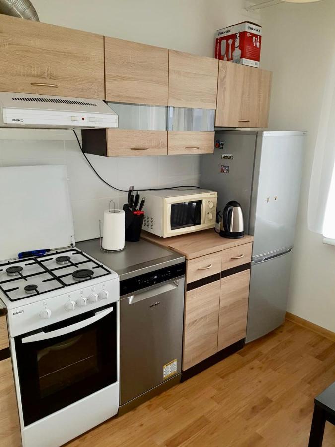 Cozy Center Apartment In ドルスキニンカイ エクステリア 写真